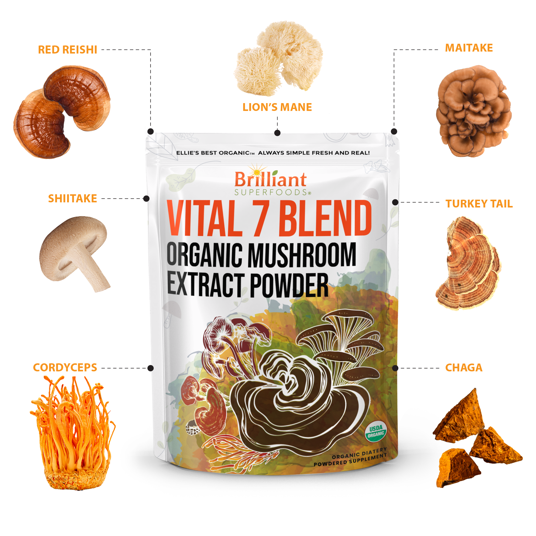 Organic 7 Mushroom Blend Powder Extract – Ellies Best Organic 7 Mushroom Blend Powder Extract – Ellies Best